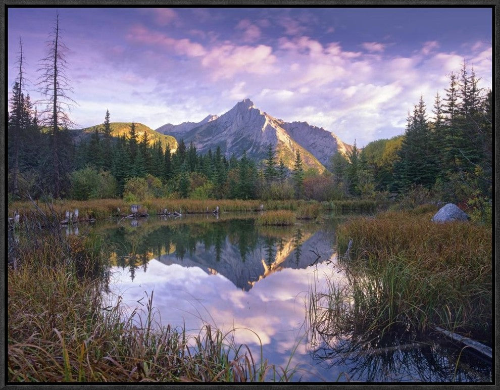 Mount Lorette and Spruce Trees Reflected In Lake, Alberta, Canada, 24"x18"