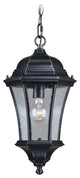 Aberdeen 10" Outdoor Pendant Shiny Black