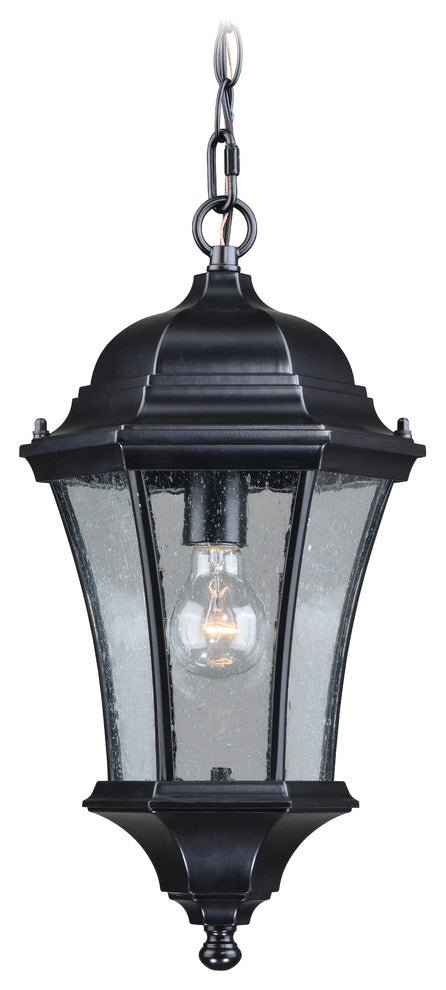 Aberdeen 10" Outdoor Pendant Shiny Black