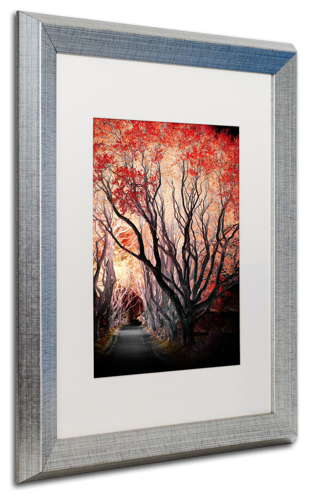 Philippe Sainte-Laudy 'Powerful One' Art, Silver Frame, 16"x20", White Matte