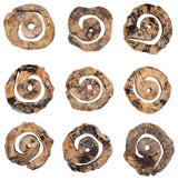 Uttermost Corkscrew Wood Wall Decor Set of 9