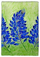 Blue Bonnets Kitchen Towel - Two Sets of Two (4 Total)
