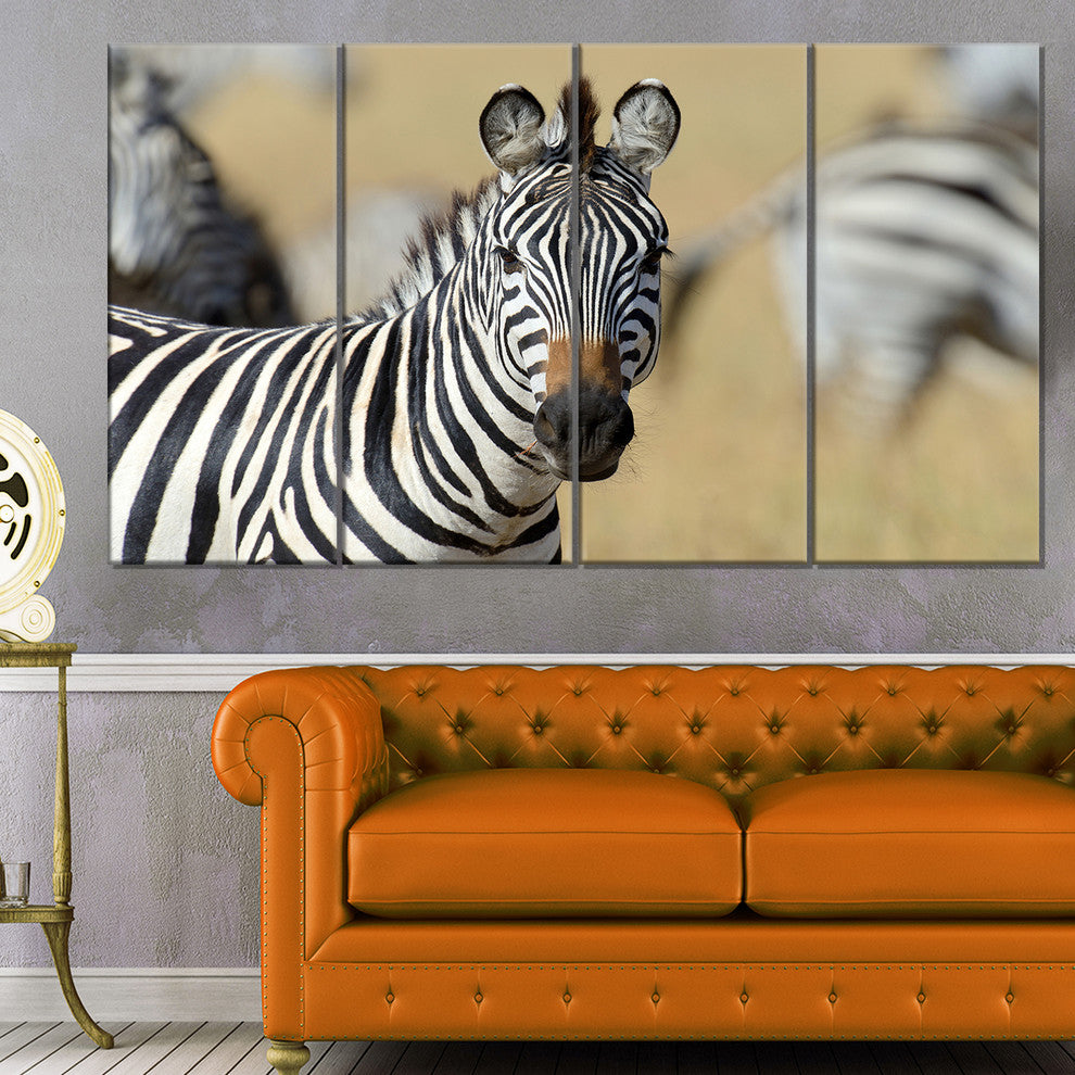 African Zebra Close Up View, African Canvas Art Print, 48"x28", 4 Panels