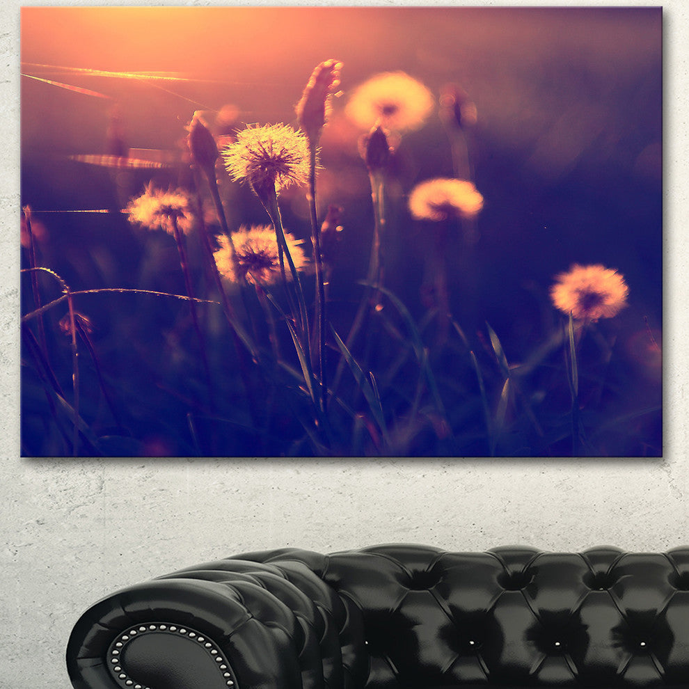 Vintage Photo Of Dandelion Garden, Large Floral Canvas Art Print, 40"x30"