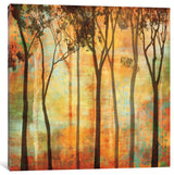 "Magical Forest I" by Chris Donovan, Canvas Print, 18"x18"