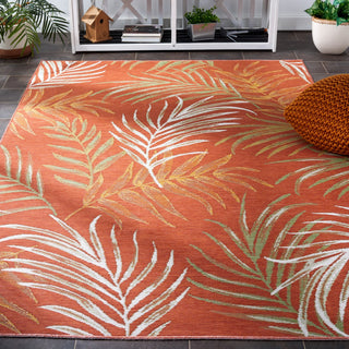 Safavieh Sunrise Collection SUN670 Indoor-Outdoor Rug