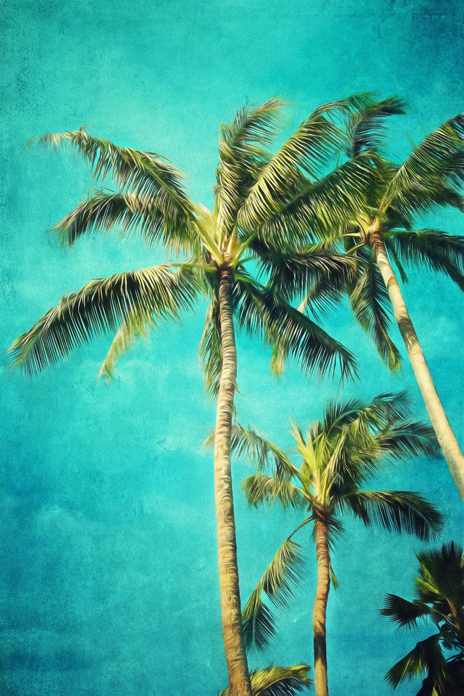 Marmont Hill, "Hawaiian Palms" by Sylvia Cook Painting on Wrapped Canvas, 40x60