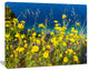 Wild Yellow Flowers over Sea Coast, Large Flower Canvas Art Print, 60"x28"