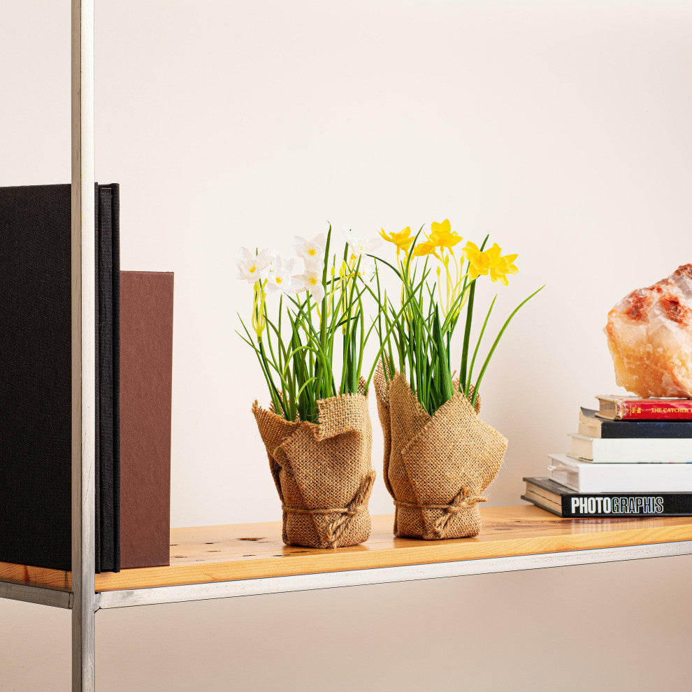 Lifestyle image showing the product in a home context on a shelf.