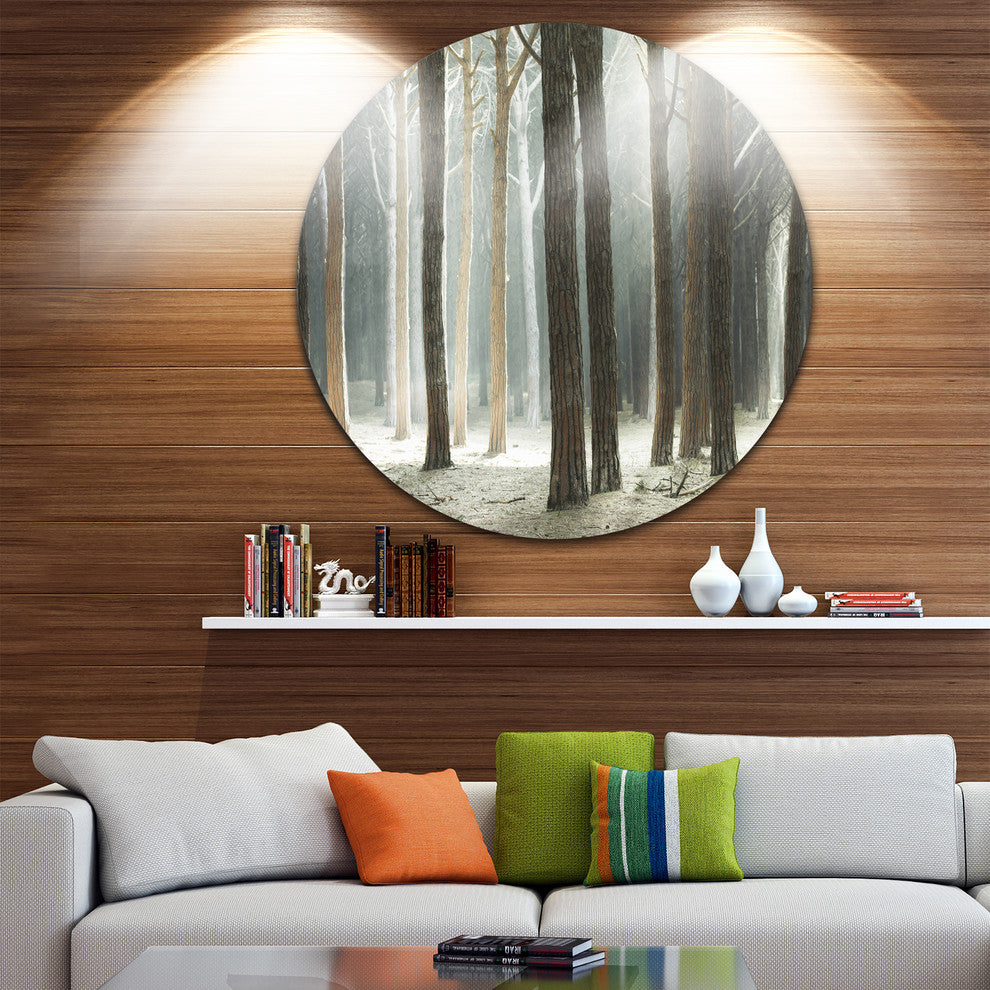 Maritime Pine Tree Forest With Rays, Forest Disc Metal Wall Art, 36"