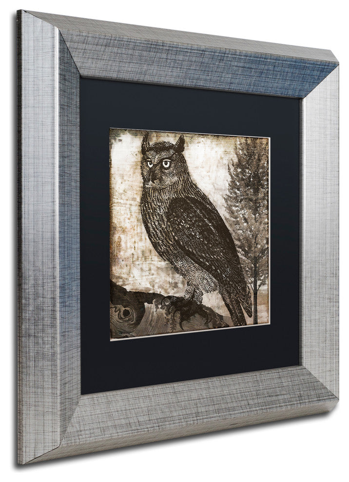 Color Bakery 'Owl 2' Art, Silver Frame, Black Matte, 11"x11"