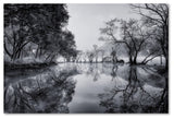 Tiger Seo 'Healing Spot' Canvas Art, 47x30