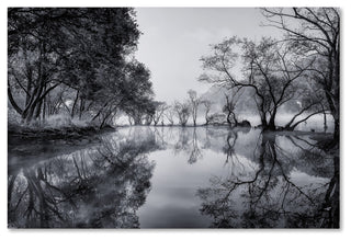 Tiger Seo 'Healing Spot' Canvas Art, 47x30