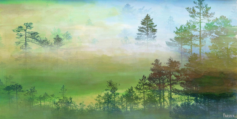 "Misty Pine Forest" Fine Art Canvas Print, 24"x12"