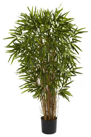 4' Twiggy Bamboo Tree