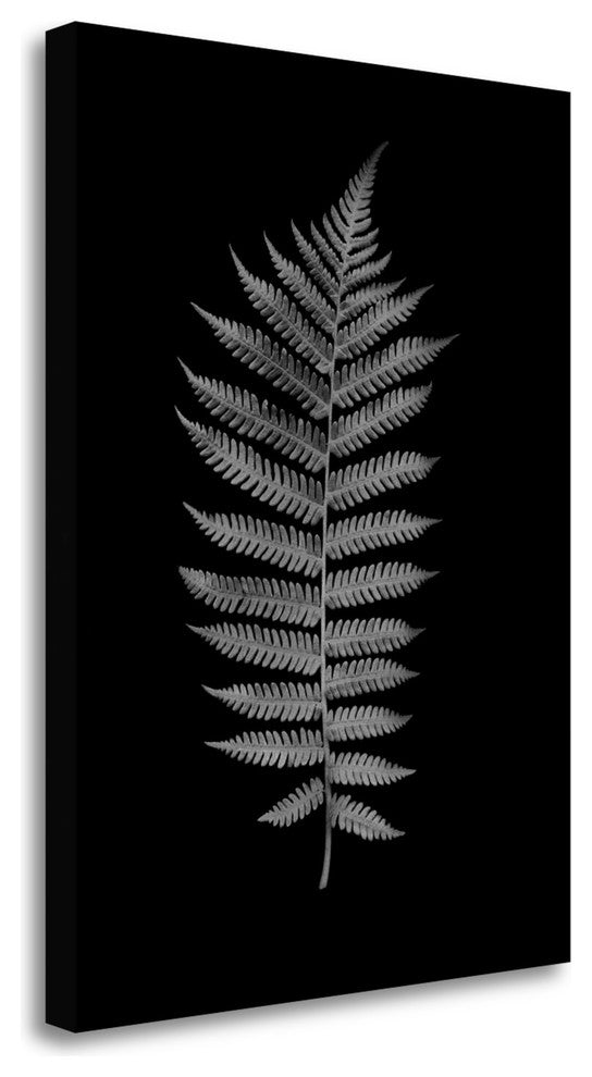 "Floral B - W - 19" By Alan Blaustein, Giclee Print on Gallery Wrap Canvas