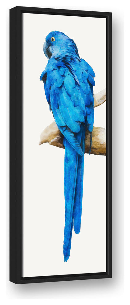 Blue Parrot 12x36 Black Floating Framed Canvas