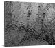 "Liquid Metal I" Wrapped Canvas Art Print, 14"x11"x1.5"