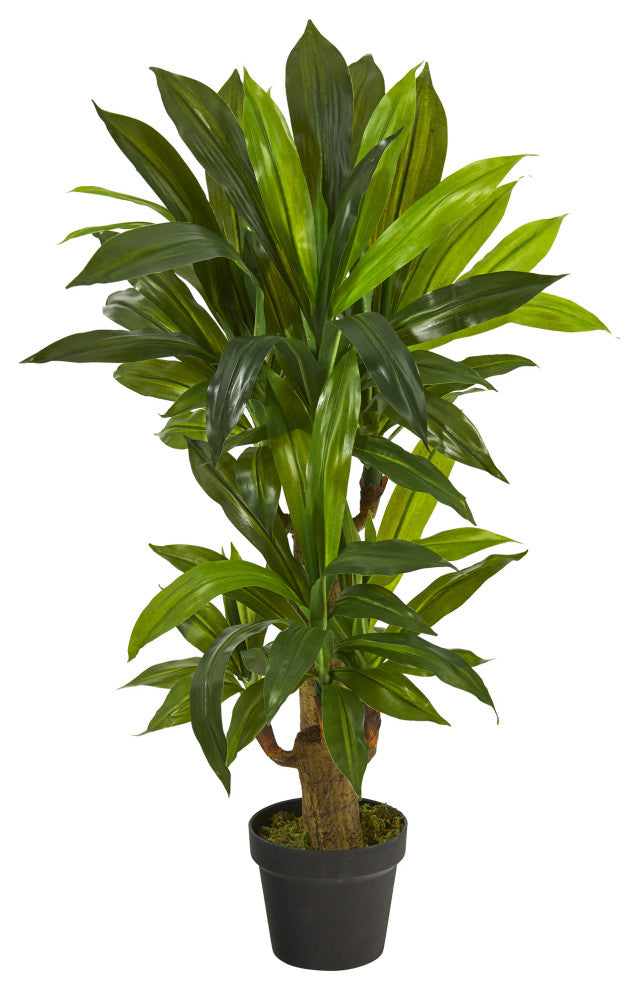 3' Corn Stalk Dracaena Artificial Plant, Real Touch