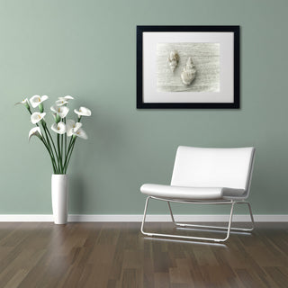 Cora Niele 'Two Cancellaria Shells' Matted Framed Art