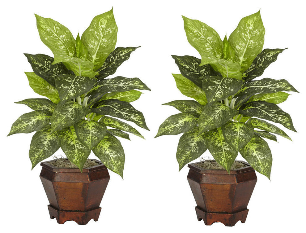 Dieffenbachia With Wood Vase Silk Plant, Set of 2, Variegated
