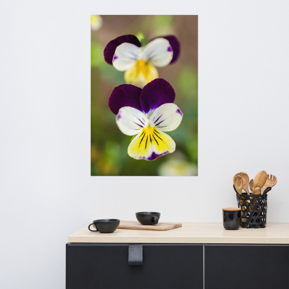 Pretty Little Violets Floral / Botanical Photograph Unframed Wall Art Prints, 24" X 36"