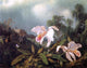 Martin Johnson Heade Jungle Orchids and Hummingbirds Gallery Wrapped Canvas