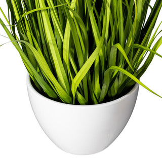31" Yellow Potted Cosmos Grass