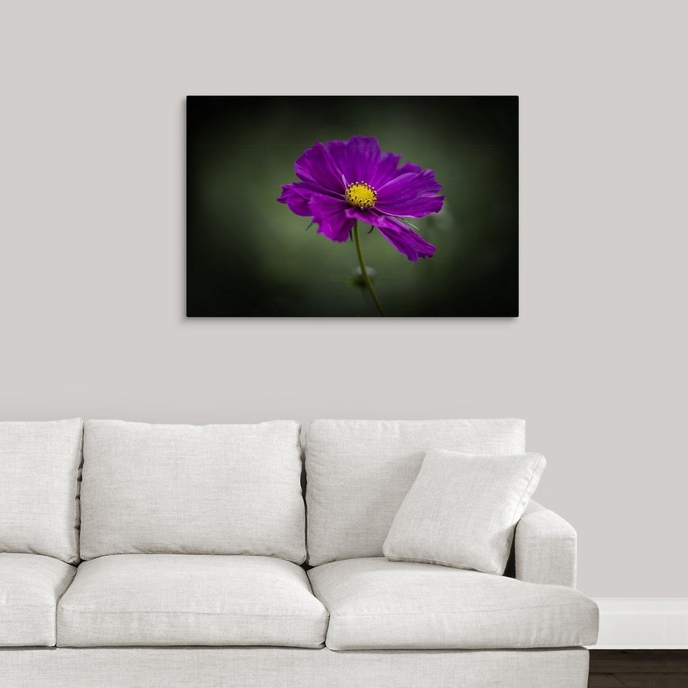 "Cosmos" Wrapped Canvas Art Print, 36"x24"x1.5"