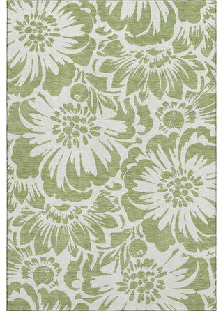 Premium Machine Washable Mayfield AMF551 Aloe 3' x 5' Rug