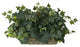 Ivy Set on Foam Sheet Silk Plant