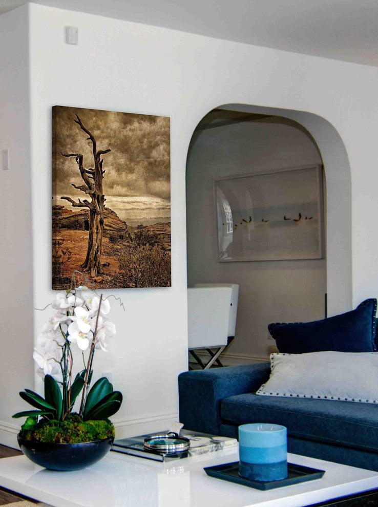 "Crags and Crooks II" Painting Print on Canvas by Robertson