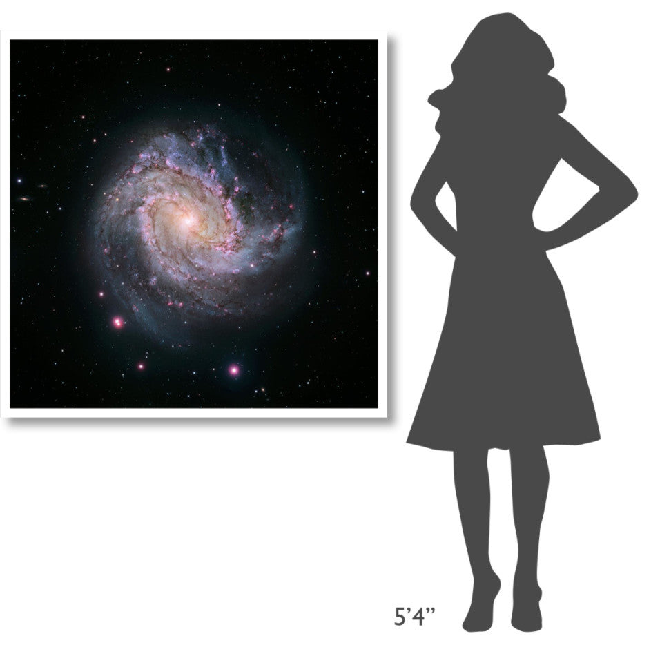 "M83 - Spiral Galaxy (Hubble-Magellan Composite)" Paper Print by NASA, 42"x42"
