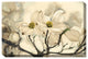 Dogwood Watercolor Outdoor Art