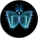 Blue Fractal Butterfly In Dark, Abstract Art Disc Metal Wall Art, 23"
