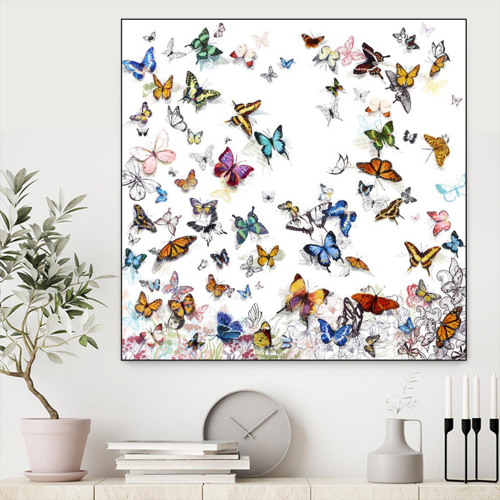 "Papillon" Framed Canvas by Giant Art 30"x30"
