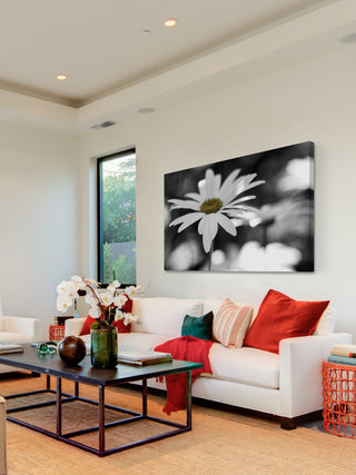 "Sun Speckled Daisy" Painting Print on Canvas