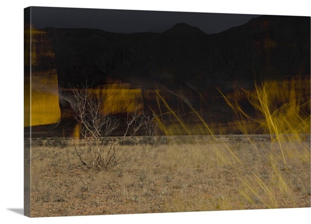 "Flame Trees, Namibia" Wrapped Canvas Art Print, 24"x16"x1.5"