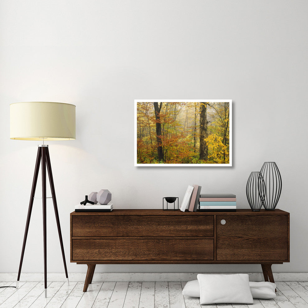 "Mixed deciduous forest in autumn, Mill Brook, Vermont" Paper Art, 38"x26"