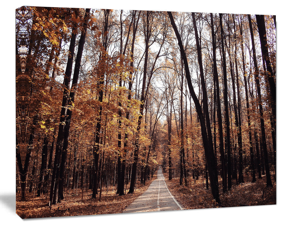Road in Autumn Golden Forest, Forest Canvas Art Print, 40"x30"