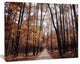 Road in Autumn Golden Forest, Forest Canvas Art Print, 40"x30"