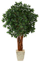 62" Lychee Artificial Tree, Country White Planter