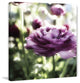 "Floral Melody IV" Painting Print on Canvas by Irena Orlov