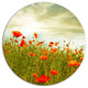 Red Poppy Flowers In Green Field, Floral Large Disc Metal Wall Art, 36"