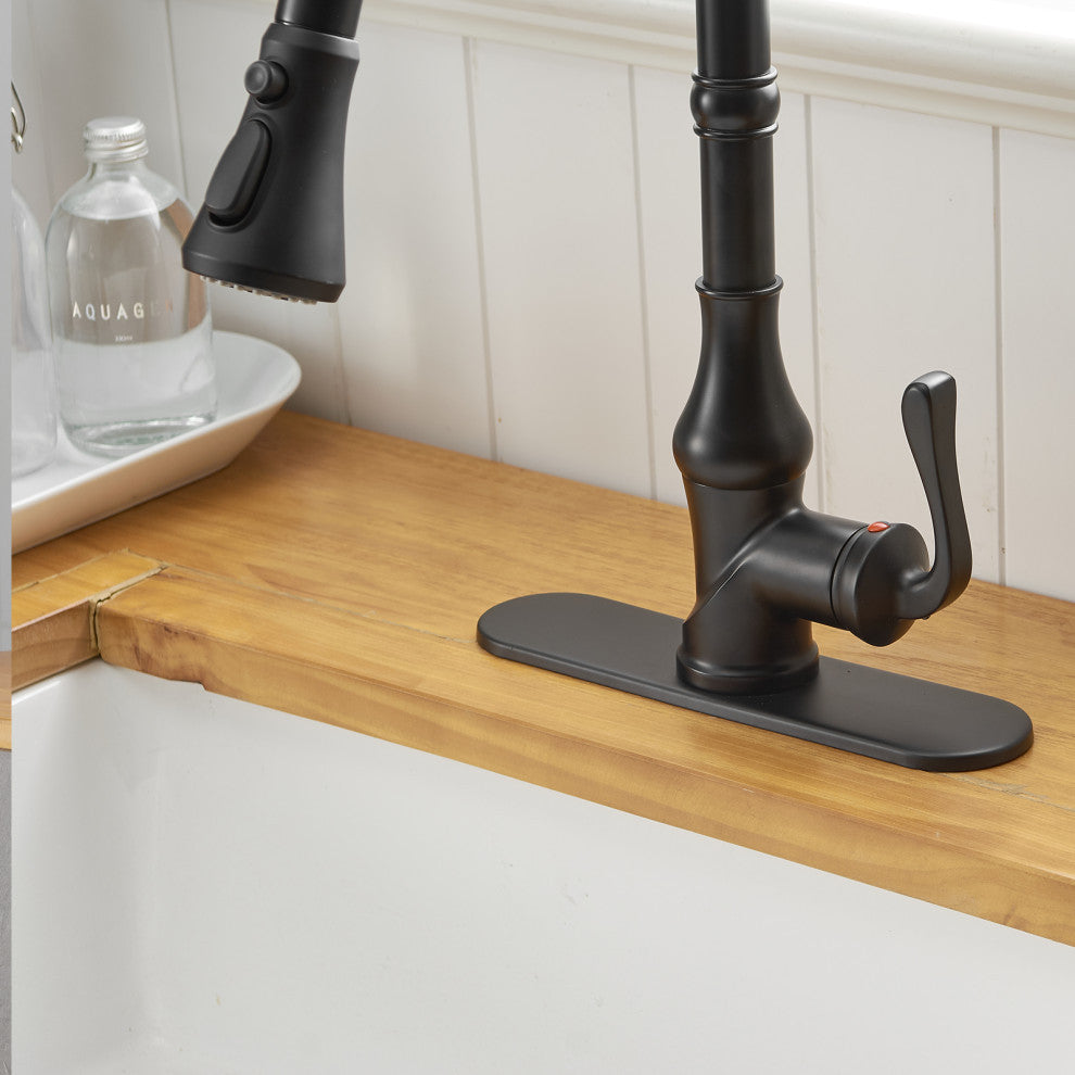 Wellfor Single Level Stainless Steel Kitchen Faucet With Pull Down Spray, Matte Black