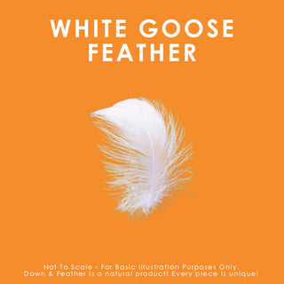 White Goose Feather Pillow, Queen, Medium Support