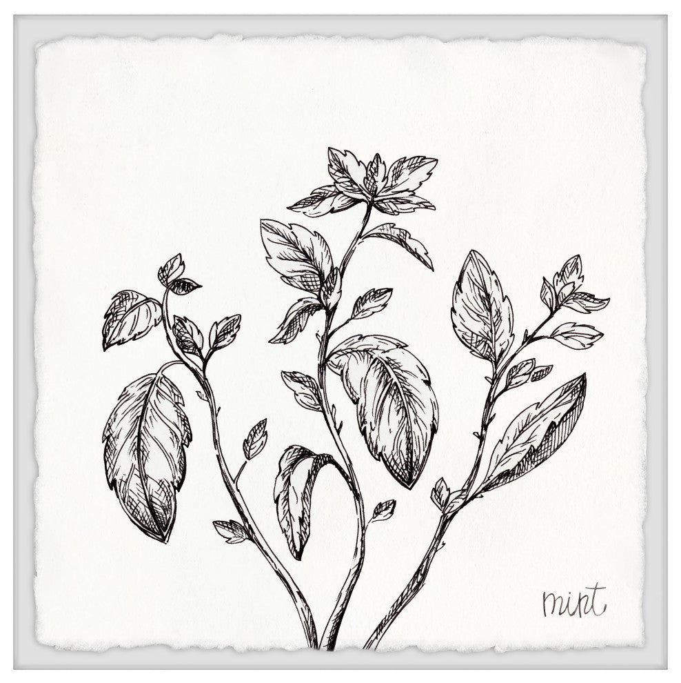 "Mint Leaves" Framed Painting Print, 24x24