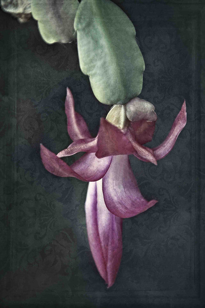 "Timeful Elegance" Painting Print on Canvas by Robertson