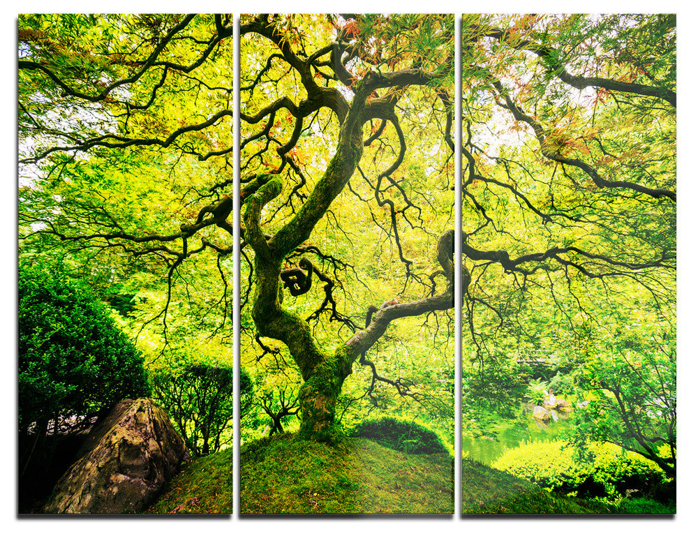 "Amazing Green Tree" Photography Glossy Metal Wall Art, 3 Panels, 36"x28"