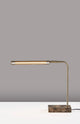 Reader LED Desk Lamp